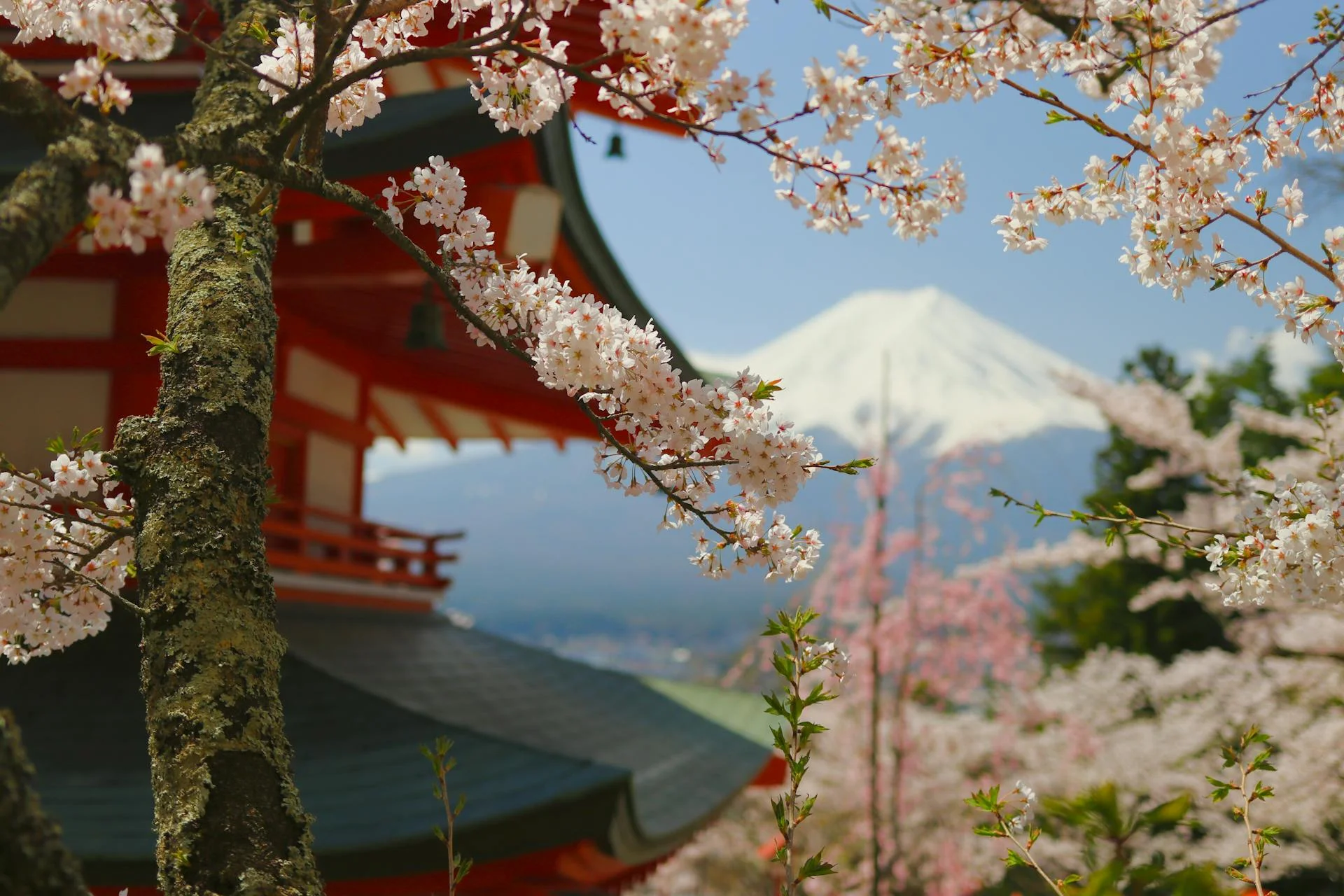 Japans natuurlandschap — rust en balans